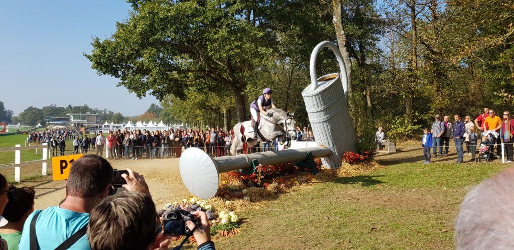 10/2018 - Le Lion d'Angers - Mondial du Lion 2018