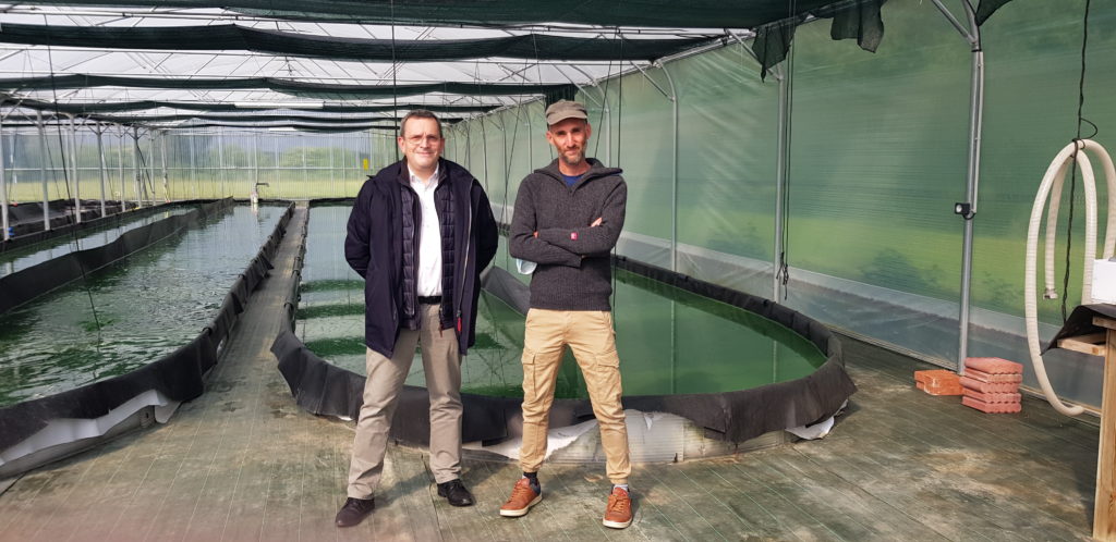 05/2021 - Ombrée-d'Anjou, Noëllet - Rencontre avec un producteur de spiruline de la circonscription